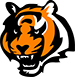 Cincinnati Bengals